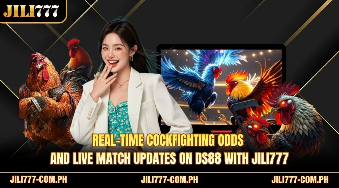 Real-time cockfighting odds and live match updates on DS88