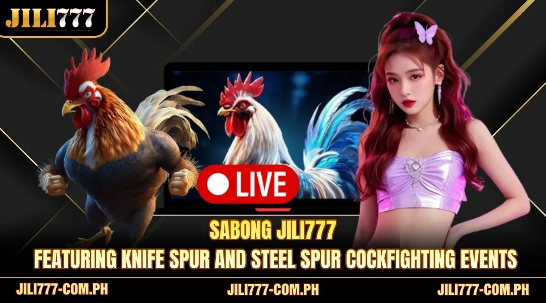 Sabong JILI777 featuring knife spur and steel spur cockfighting events